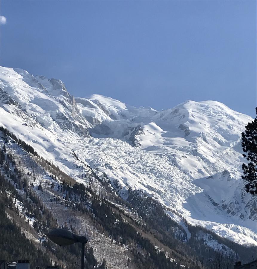Appart'Hotel Aiguille Verte&Spa Chamonix Exterior foto