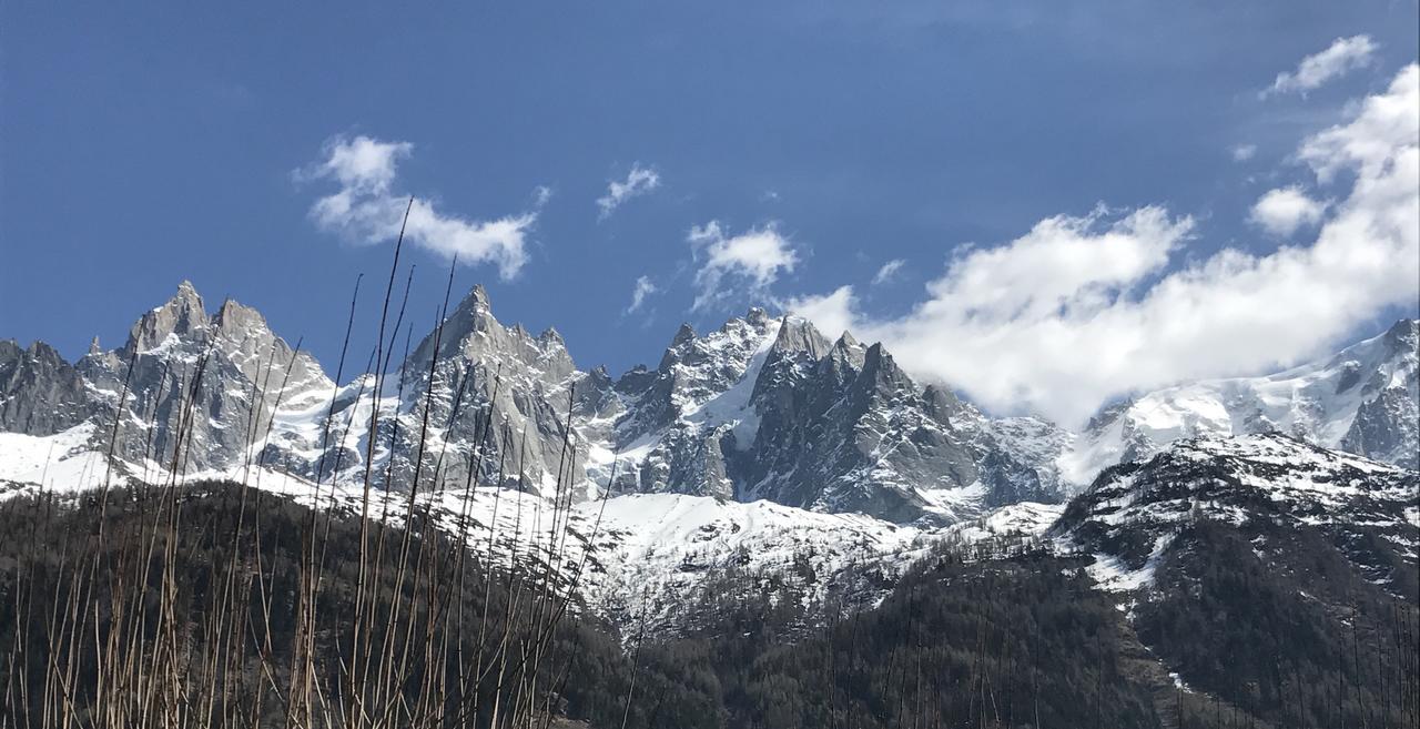 Appart'Hotel Aiguille Verte&Spa Chamonix Exterior foto